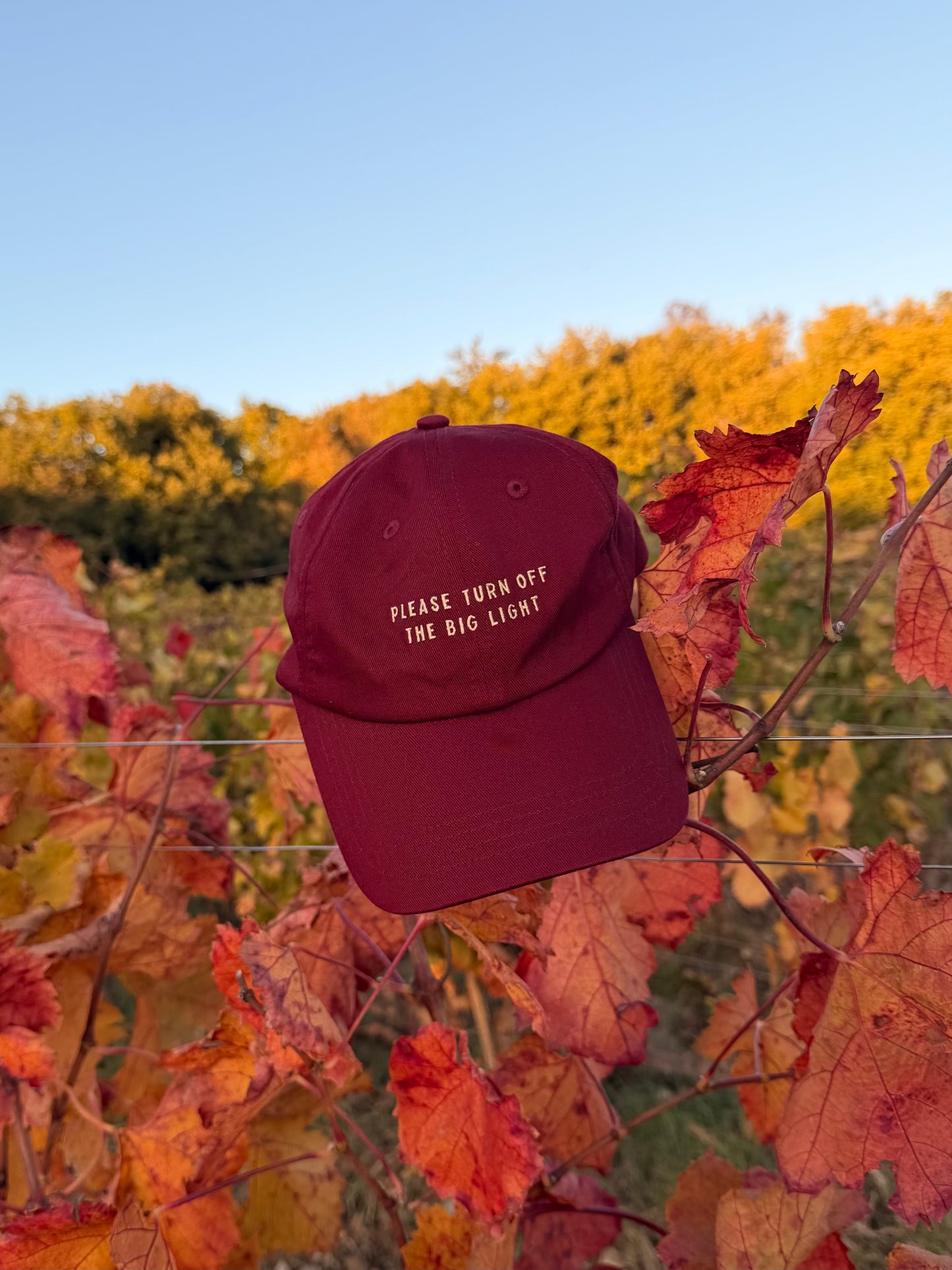 Please Turn Off The Big Light